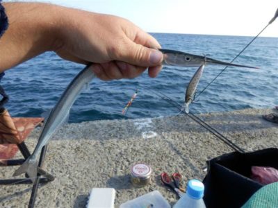 рыбалка на черном море с берега июль