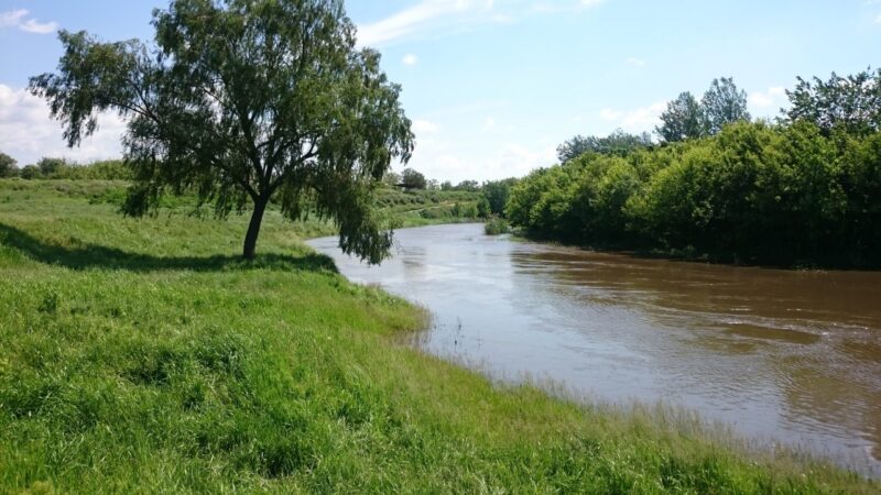Река Крынка